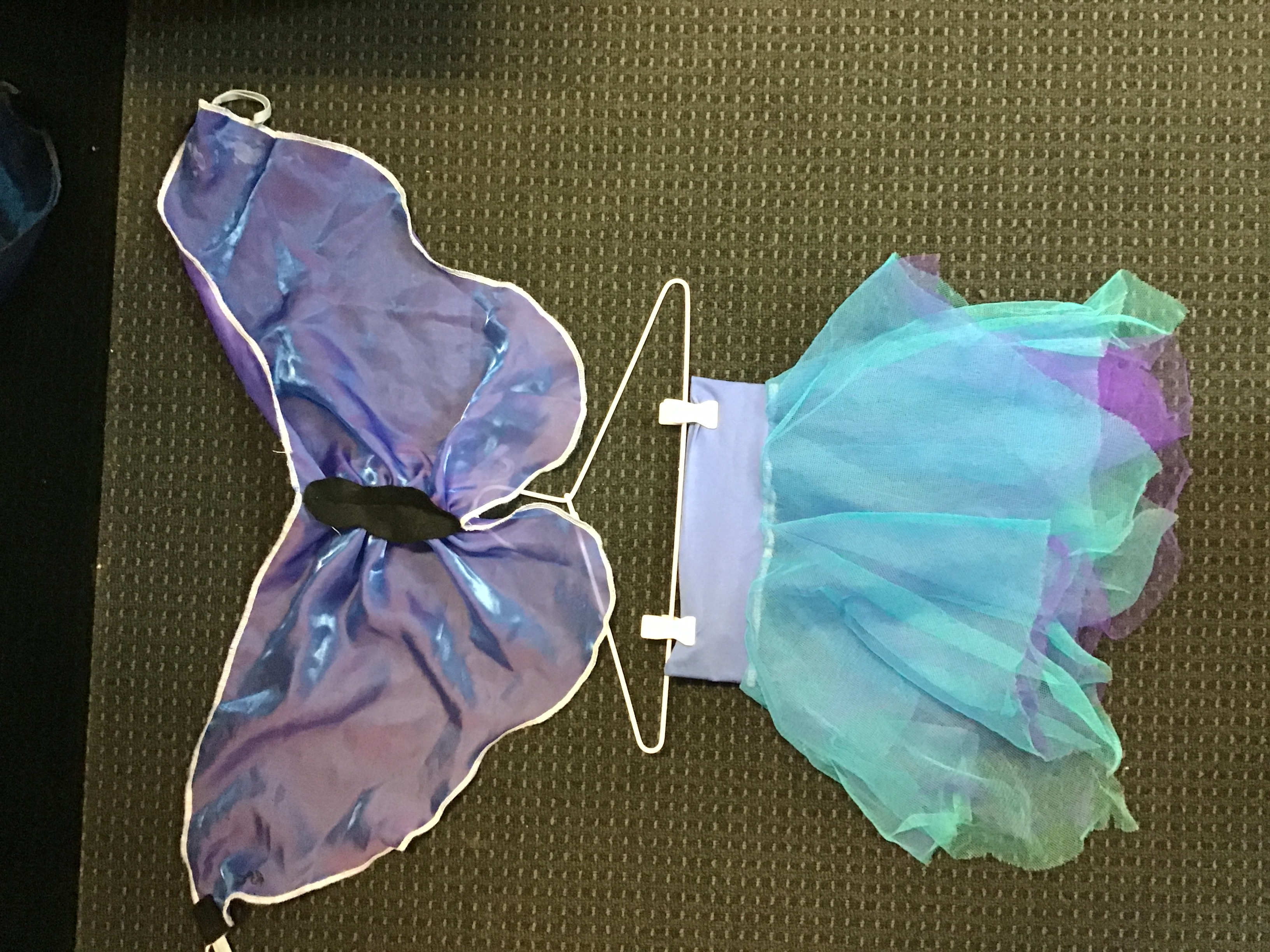 Fairy wings and tutu